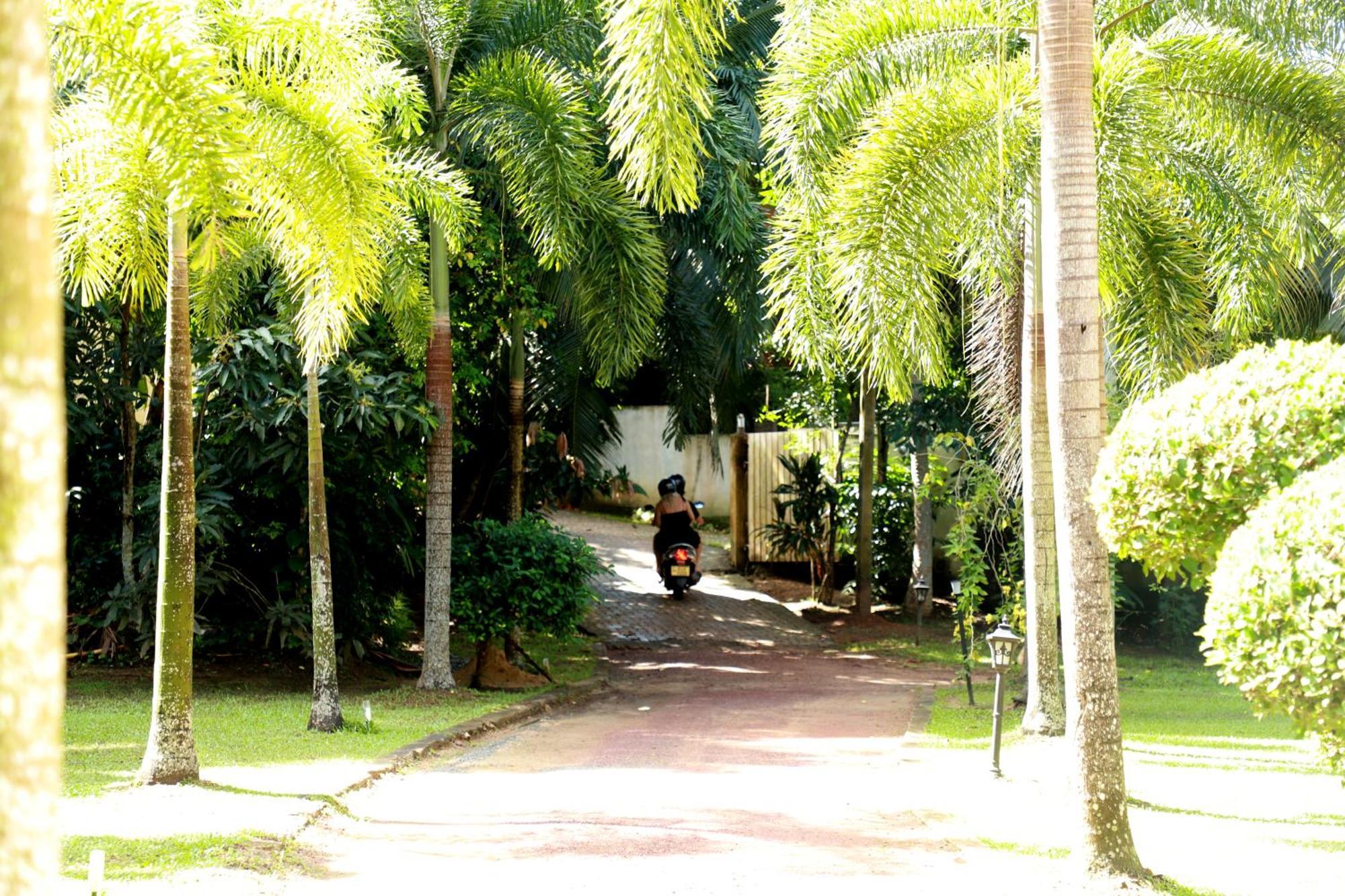 Hotel Edge 3*